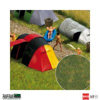 Busch 1303 zomergras bodembedekker