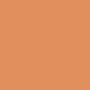 Vallejo 73117 in Pigment Rust and Corrosion set van 4 Veldbaanshop.nl