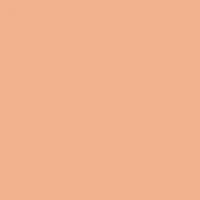 Voorvertoning: Vallejo 73118 in Pigment Rust and Corrosion set van 4 Veldbaanshop.nl Voorvertoning: Vallejo 73118 in Pigment Rust and Corrosion set van 4 Veldbaanshop.nl